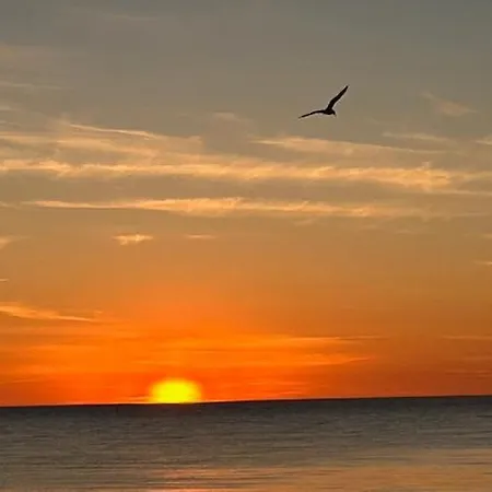 Widok Na Morze * ダルウォボ